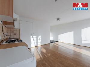 Pronájem bytu 1+kk, Cheb, Goethova, 30 m2