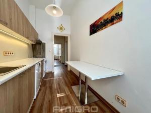 Pronájem bytu 1+1, Brno, Jugoslávská, 49 m2