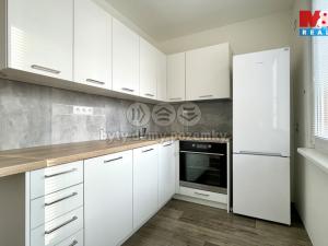 Pronájem bytu 1+1, Vamberk, Struha, 38 m2