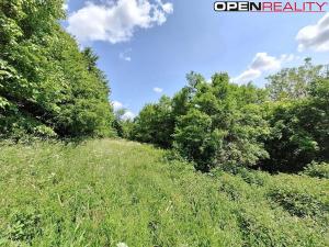 Prodej rodinného domu, Žítková, 80 m2