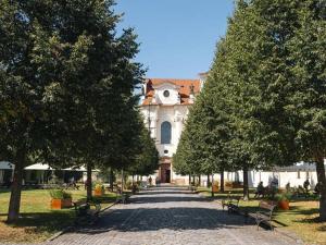 Prodej bytu 2+kk, Praha - Břevnov, Pod Drinopolem, 60 m2