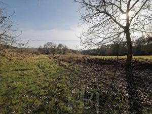 Prodej zemědělské usedlosti, Slabčice, 109 m2