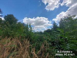 Prodej lesa, Jihlava, 3272 m2