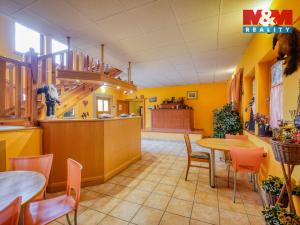 Prodej chalupy, Žihle - Nový Dvůr, 689 m2