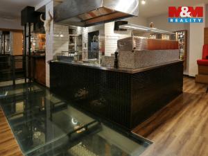 Prodej obchodního prostoru, Olomouc, Riegrova, 890 m2