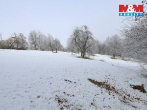 Prodej zahrady, Bernartice, 8163 m2