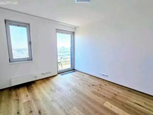 Pronájem bytu 3+kk, Praha, U Dívčích hradů, 123 m2