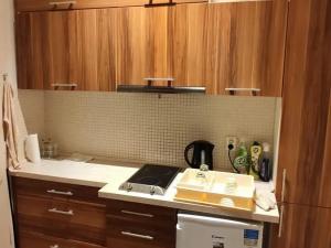 Pronájem bytu 1+kk, Praha - Nusle, Na lepším, 31 m2