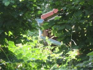 Dražba zahrady, Ústí nad Orlicí, 1390 m2