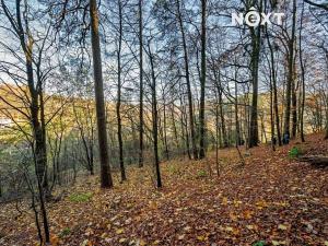 Prodej pozemku pro bydlení, Malá Skála, 3487 m2