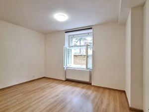 Pronájem bytu 1+kk, Praha - Bubeneč, U zeměpisného ústavu, 26 m2