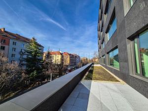 Pronájem kanceláře, Brno, Botanická, 1800 m2