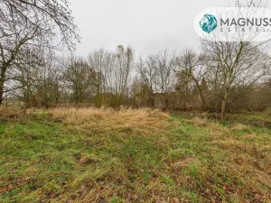 Prodej pozemku, Libina, 7132 m2