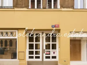 Prodej bytu 1+1, Praha - Žižkov, Husitská, 39 m2