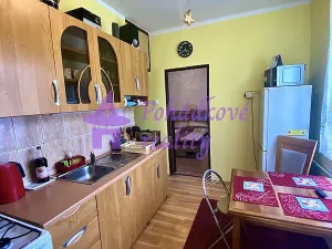 Prodej bytu 1+1, Břidličná, Nerudova, 34 m2