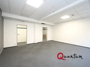 Pronájem kanceláře, Praha - Vinohrady, Šafaříkova, 29 m2