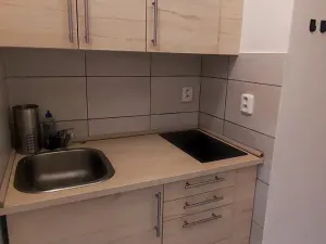 Prodej obchodního prostoru, Praha, Wenzigova, 52 m2