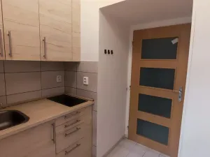 Prodej obchodního prostoru, Praha, Wenzigova, 52 m2