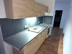 Pronájem bytu 2+1, Ústí nad Labem, Gagarinova, 64 m2