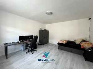 Prodej bytu 1+1, Teplice, 14. října, 41 m2