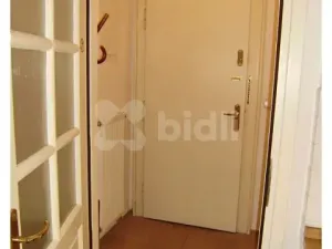 Pronájem bytu 1+kk, Praha - Vinohrady, Slezská, 45 m2