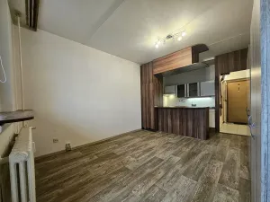Pronájem bytu 1+kk, Brno, Opálkova, 28 m2