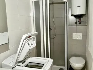 Pronájem bytu 1+kk, Spomyšl, 26 m2