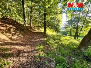 Prodej louky, Teplice nad Metují - Horní Teplice, 5449 m2