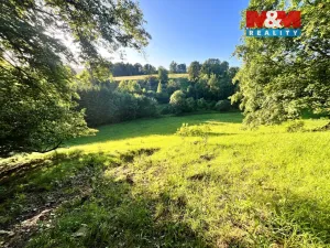 Prodej louky, Teplice nad Metují - Horní Teplice, 5449 m2