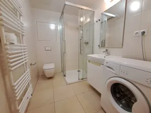 Pronájem bytu 1+kk, Brno, Nad Přehradou, 24 m2