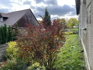 Prodej rodinného domu, Hvozd, 90 m2