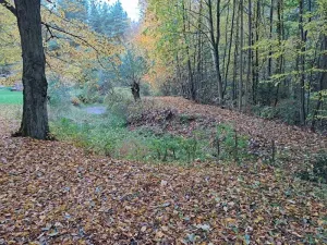 Prodej zahrady, Chlístovice, 1161 m2