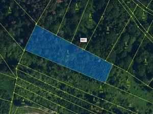 Dražba lesa, Mladoňovice, 2344 m2