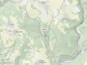 Dražba lesa, Jílové u Držkova, 10166 m2