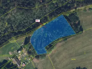 Dražba lesa, Ohnišov, 4071 m2