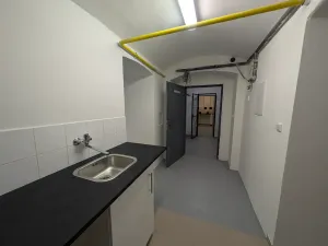 Pronájem komerční nemovitosti, Praha - Bubeneč, Sochařská, 55 m2