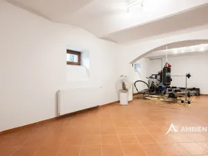 Prodej vily, Brno, 754 m2