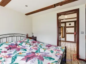 Prodej vícegeneračního domu, Těšovice, 540 m2