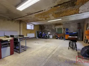 Prodej vícegeneračního domu, Těšovice, 540 m2