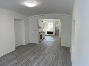 Pronájem bytu 1+kk, Teplice, Souběžná, 50 m2