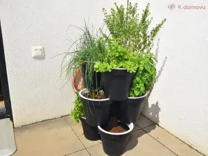 Pronájem rodinného domu, Brno, Dubová, 160 m2