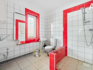 Prodej komerční nemovitosti, Velká Chmelištná, 550 m2