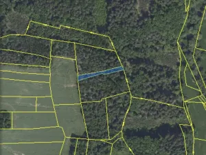 Prodej lesa, Chářovice, 617 m2