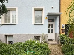 Pronájem bytu 1+kk, Brno, Teslova, 20 m2