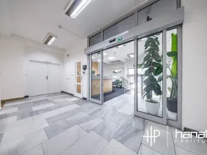 Pronájem kanceláře, Olomouc, Karolíny Světlé, 30 m2
