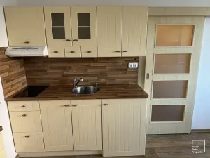 Pronájem bytu 2+kk, České Budějovice, K. Chocholy, 42 m2