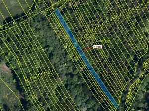 Dražba lesa, Kelníky, 1069 m2