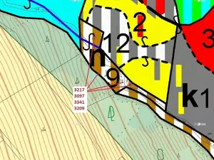 Dražba lesa, Benešov u Semil, 1649 m2