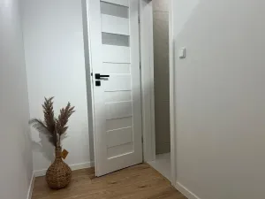 Prodej bytu 3+1, Ostrava, Ahepjukova, 67 m2