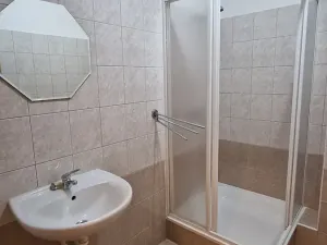 Prodej bytu 1+kk, Štěnovice, Čižická, 27 m2